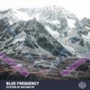 Blue Frequency - System of Nature (Original Mix)