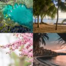 Easy Tropical Christmas - Christmas at the Beach (Auld Lang Syne)