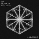 747 - While My 303 Gently Weeps (Original Mix)