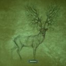 Random Classes - Look Around