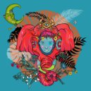 Draso - Quasi (Original Mix)