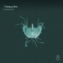 Sleepy & Boo - Sector