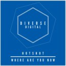 Hotshot - Where Are You Now (Dub Mix)