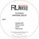 DJ Steaw - What you need (Original Mix)