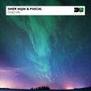 Sher M@n & P4sc4l - Find Me