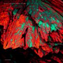 K a s t a n - Never Again