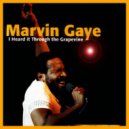 Marvin Gaye Vs. Dr Packer - Heard It Through The Grapevine (Trokey Mashup)
