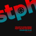 Haldo & Karlheinz feat Silvio Gigante - Someone Else (HAKA Project Remix)