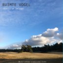 Ruimte Vogel - Insight