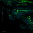 Adam James - Rave Face (Original Mix)