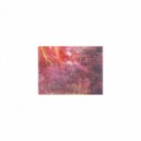 Mindfulness Healing BGM Project - Magnetism and Rest (Original Mix)