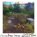 Cass Lamb - And Can I Dabble