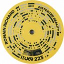 Romain Richard - Delicious Contradiction (Original Mix)