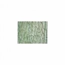 Mindfulness Healing BGM Project - Millet and Tension