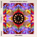 Lions In The Wild, AVILLA - Like a Drug (Original Mix)