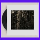Francois Dillinger - Sit and wait (Vinyl edit)