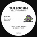 Tullochh - Check Point (Original Mix)
