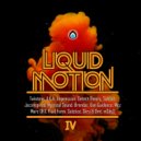Fluid Form - Mansions on the Moon (Original Mix)