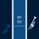 Salade Tomate - Note Bleu (Original Mix)
