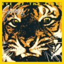 Survivor - Eye Of The Tiger