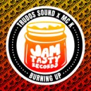 Trudos Sound & MC K - Burning Up (Extended Mix)