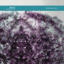 M.O.L.N - Buchla (Original Mix)