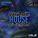 SHAWNASTRO - Conversational Hypnosis (Original Mix)