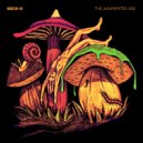 Geck-O - The Augmented Age (DJ Version)