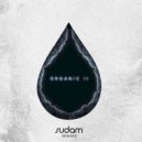 Crudito Sava & Walsin - Carga Fisica