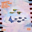 Caribbean - Taganga (Original Mix)