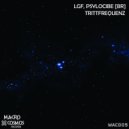 LGF & Psylocibe [BR] - Trittfrequenz (Original mix)