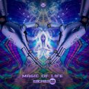 Saghaz - Magic Of Life (Original Mix)