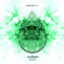 Everything Counts - Gemsbok