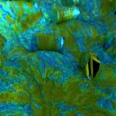 Monodogue & Torstein Nipe - The Cassette (Original Mix)