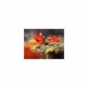 Mindfulness Healing BGM Project - Ocean and Energy (Sleep Mix)