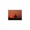 Mindfulness Healing BGM Project - Soil and Frustration