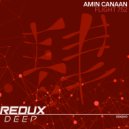 Amin Canaan - Flight 752