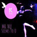 Mr.Nu - Seems To U