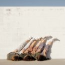 Michael Wall - Flight Not Yet Fled ()