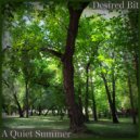 Desired Bit - A Quiet Summer (Original Mix)