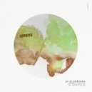 JP Elorriaga - Chameleons (Jay Oss Remix)