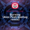 Asher Swissa, Imar - Burning (Alex Pesh bootleg remix)