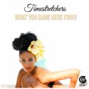 Timestretchers - What You Came Here For (Radio Edit)