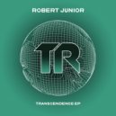 Robert Junior - Mindtrap (Original Mix)