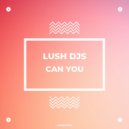 Lush Djs - Can You