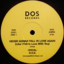 Diplomats Of Soul, Vanessa Hay - Never Gonna Fall in Love Again