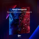Kenji Sekiguchi - Sound Of Sorrow