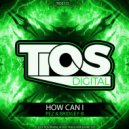 Pez & Bridgey-B - How Can I