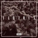 Sal, Need For Mirrors - Verbal