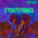 Sanaa - Tripping (Original Mix)